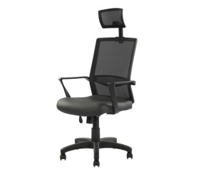 ECH008 BK EX CHAIR HIGH BACK FLEXY BLACK