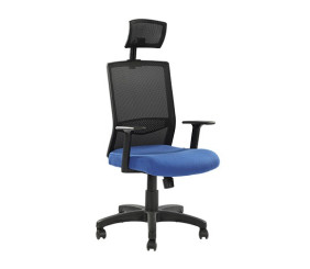 ECH009 BL EX CHAIR HIGH BACK NEO BLUE