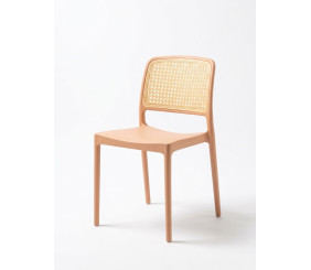 Plastic Chair